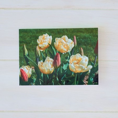 Klappkarte Tulpen