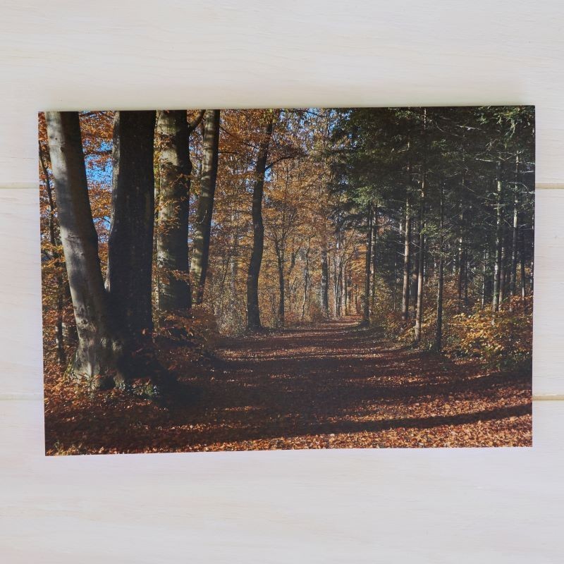 Klappkarte Herbstwald gross