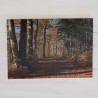 Klappkarte Herbstwald gross
