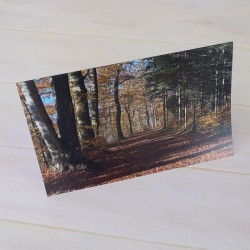 Klappkarte Herbstwald gross
