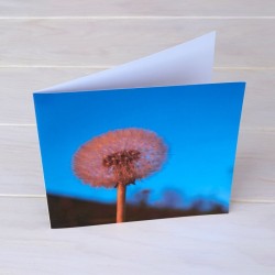 Klappkarte Pusteblume