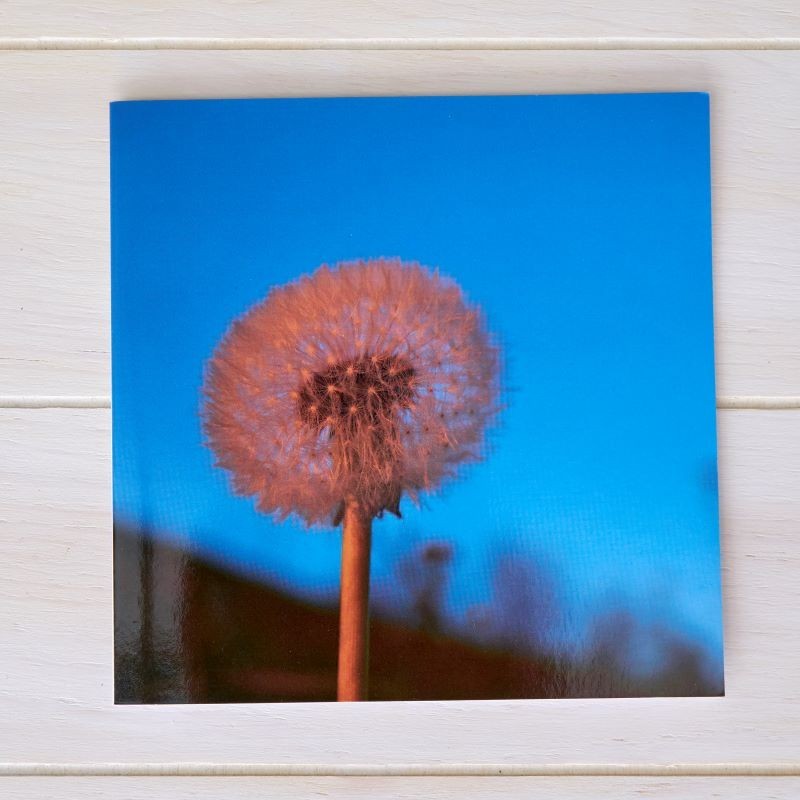 Klappkarte Pusteblume
