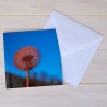 Klappkarte Pusteblume
