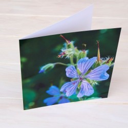 Klappkarte Blüte