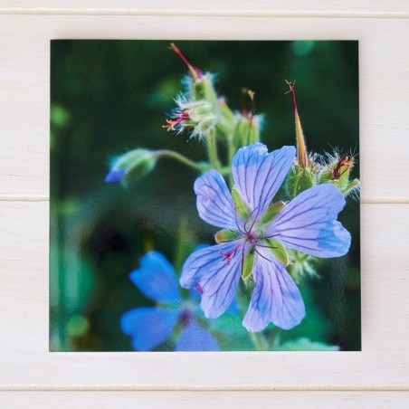 Klappkarte Blüte