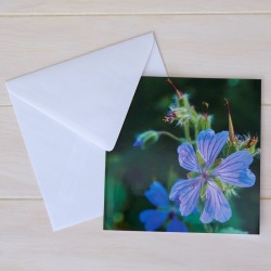 Klappkarte Blüte